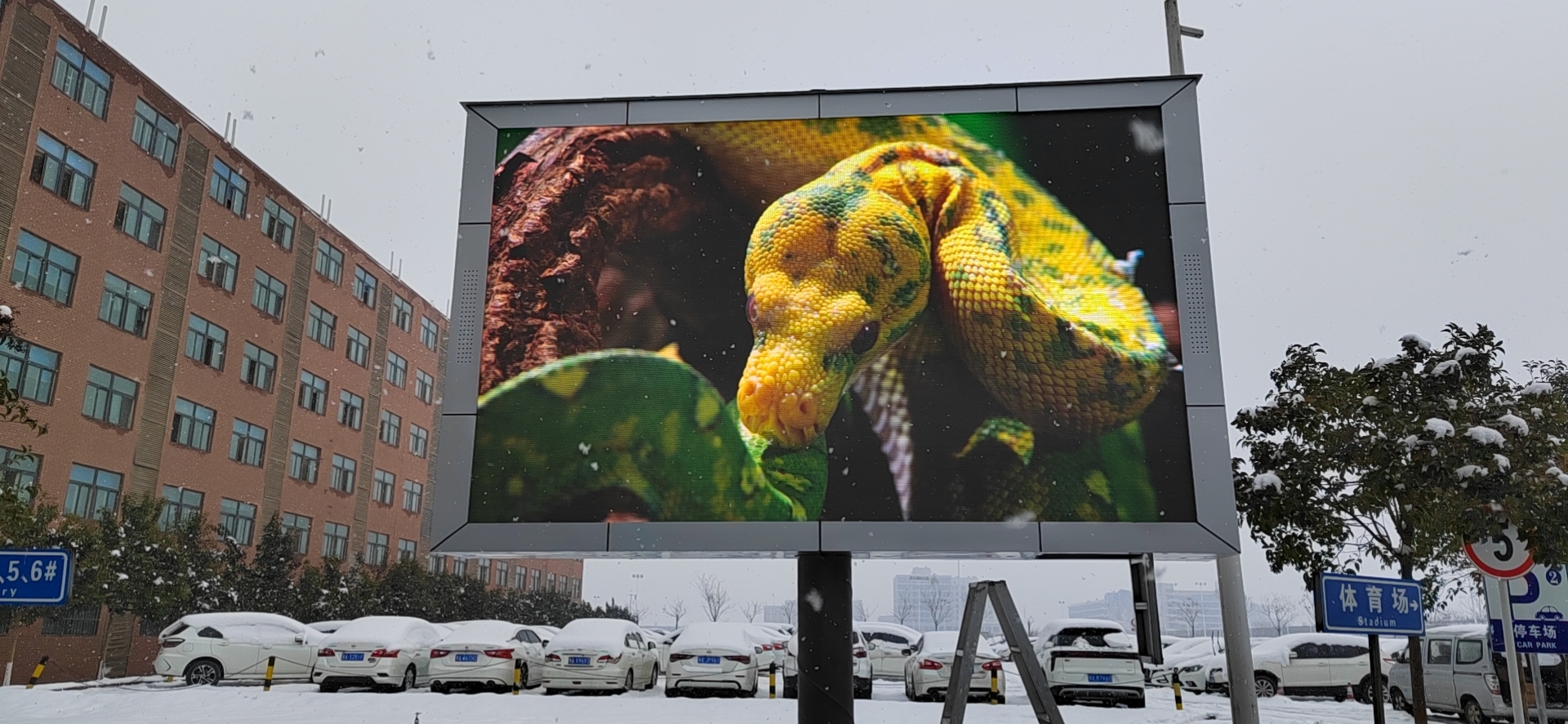 led顯示屏 led顯示屏