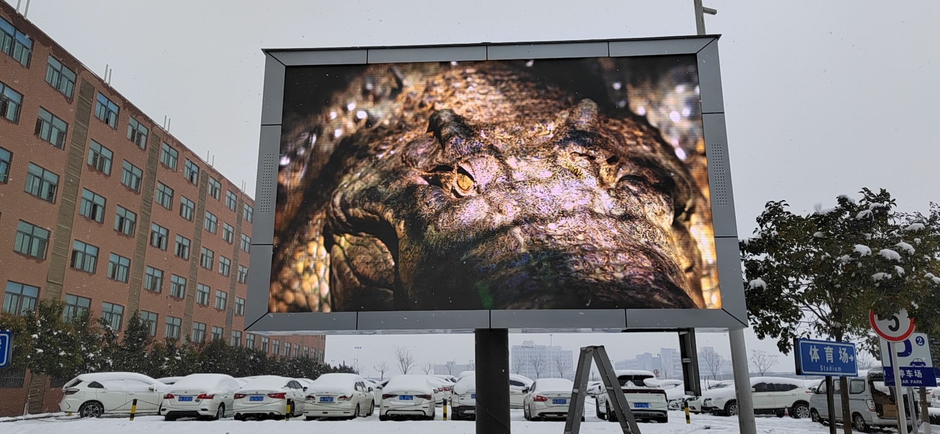 led大屏幕 led大屏幕